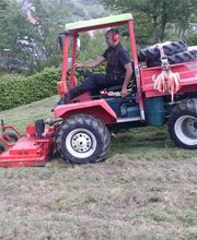 Daniels Baum- & Gartenservice Bild 17