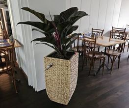 Restaurant Brunnentor Uster Bild 13