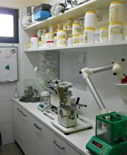 Gallery Cliente