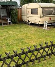 Gartenservice Hahn Bild 12