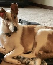 Ahrens Heating and Air Conditioning image 17