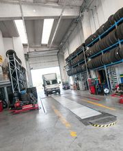 Euromaster Cosmo Gomme immagine 11