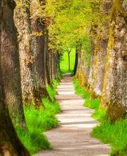 Ditzen Petra Gartengestaltung Bild 1