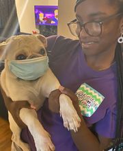 Lashley Animal Hospital image 4