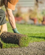 FaciliSAP Jardinage image 3