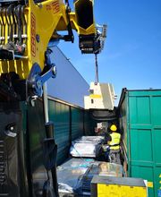 Mordefroy Levage image 5