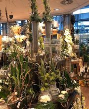 Blumen Interfleur Floristik & Wohnaccessoires Bild 3