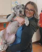 Green Summit Animal Clinic image 15