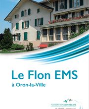 EMS Le Flon Bild 2