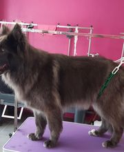 O'poils By Delphine image 2