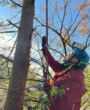 Christian Baumpflger