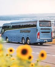 Strickler Reisen Neuheim Bild 1