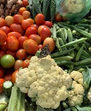 Import & Export GDP Bild 10