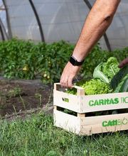 Azienda Agricola CATIBIO di Caritas Ticino Bild 2