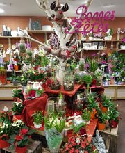 Au Cyclamen image 4