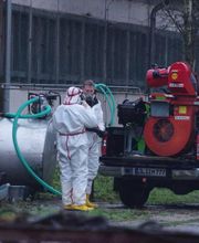 Enviro Pest Control GmbH Bild 7