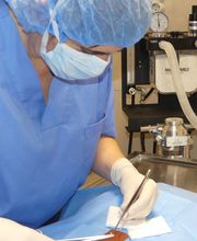 CLÍNICA VETERINARIA PALOMERA imagen 3