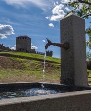 Azienda Multiservizi Bellinzona (AMB) Bild 7