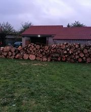 Les 4 Saisons image 18