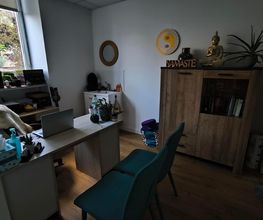 Haesslein Elodie image 1
