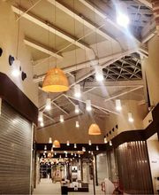 Gallery Professionale