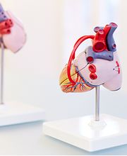 Dres. med. Bettina Muggli & Thomas Largiadèr Bild 3