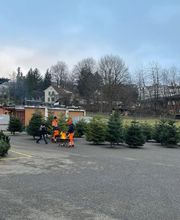 Vontobel Forst- und Gartenbau GmbH Bild 6