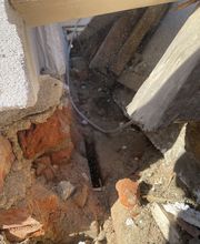 IMG_3101.jpeg