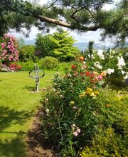 MM Gartenpflege GmbH Bild 4