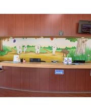 Western Dental & Orthodontics Kids image 7