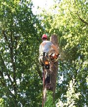 A La Hauteur Des Cimes image 7