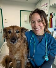 VETPULLY - Cabinet vétérinaire Bild 2