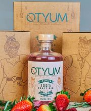 Grupo Dream imagen 20