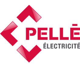 Pelle SA image 1