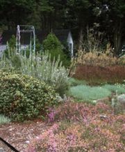 Browder-Hite image 6