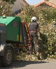 Philippe Joyeux Elagage image 1