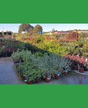 Notre Jardin Propre image 5