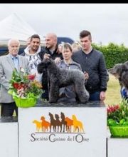Compiègne Education Canine image 4