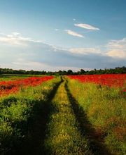 Pompes Funèbres Barras SA Crans-Montana Bild 2