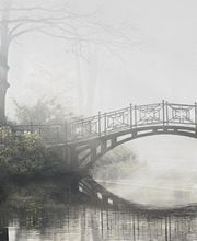 Bestattungsunternehmen Brigitte Schröter GmbH Bild 12