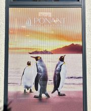 Salaün Holidays Cannes image 3