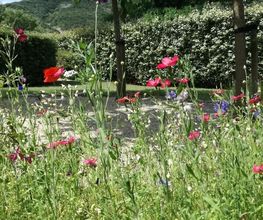 Jardinservice SARL image 12