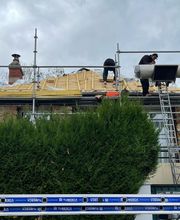 Ent Jeanmaire image 12