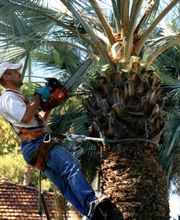 SARGIOTTO Didier & Fils image 2