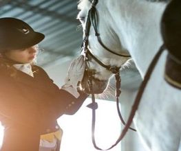 Br Equitation image 1
