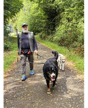 Wuff-Ontour Hundetraining & Gassi-Service Bild 3