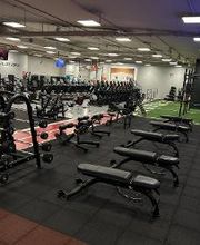 Gimnasio VivaGym Berlín imagen 19