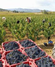 Domaine de Longueroche image 2