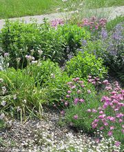 Fabian Klaus Gartenbau Bild 3