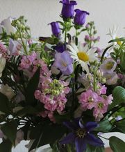Blumen Ball GmbH Bild 12